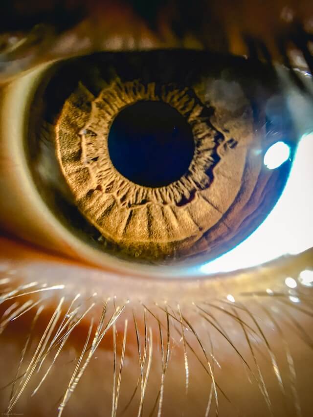 microlearning eye